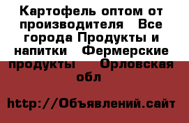 Картофель оптом от производителя - Все города Продукты и напитки » Фермерские продукты   . Орловская обл.